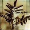 Amorphis: Tuonela