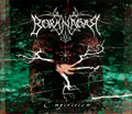 [Kansi - Borknagar: Empiricism]